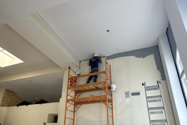 Clean Line and Design's other services