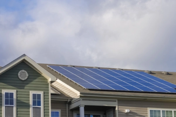 Solar Panel Cleaning